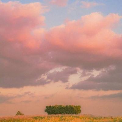 正规的大小单双平台网址截图