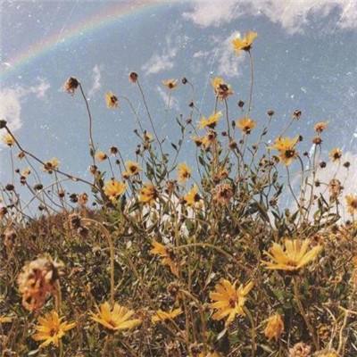 澳门新莆京游戏手机app下载