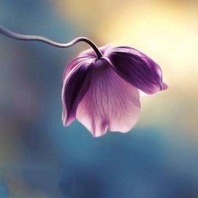 im电竞官方网站入口·官方网站