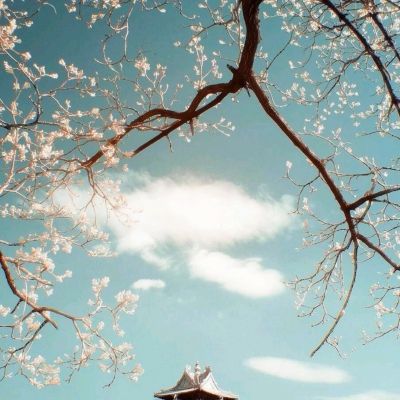 体育投注网址365